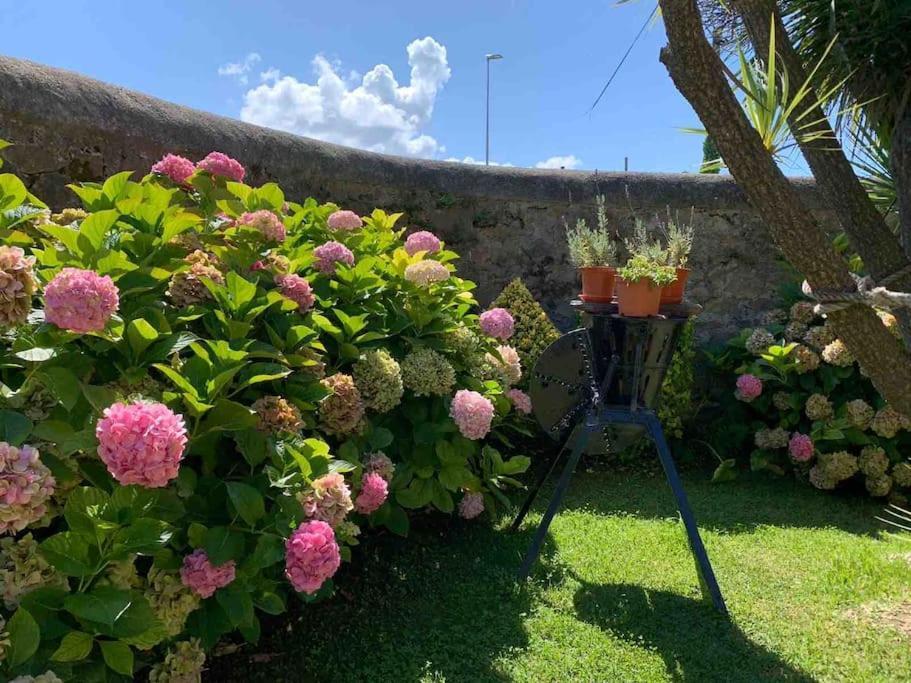 Apartamento Con Jardin Santander Bagian luar foto