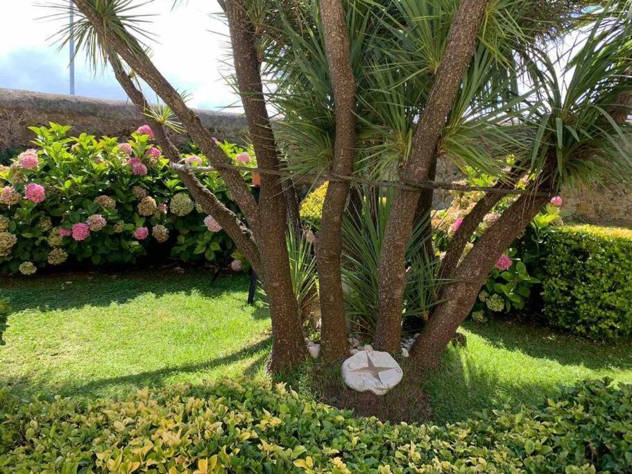 Apartamento Con Jardin Santander Bagian luar foto