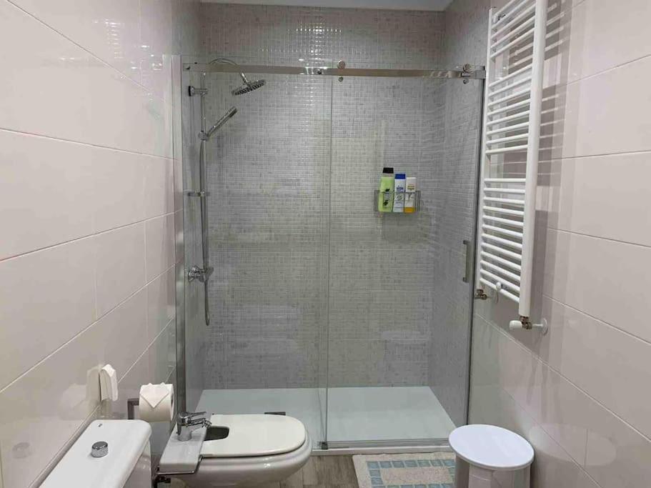 Apartamento Con Jardin Santander Bagian luar foto