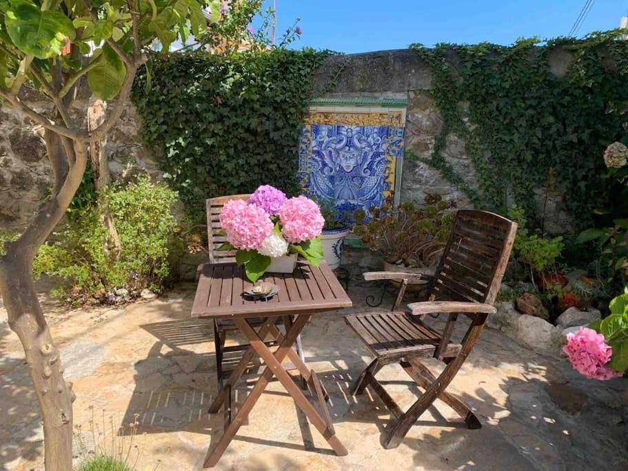 Apartamento Con Jardin Santander Bagian luar foto